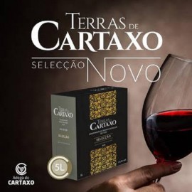 Terras de Cartaxo Tinto Box Selecção 5L