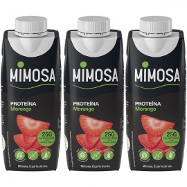 Mimosa Proteína Morango 3x250ml Mimosa Proteína Morango 3x250ml