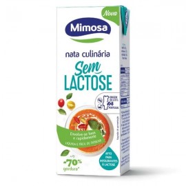 Natas Culinaria S/Lactose 200ml 1Un.