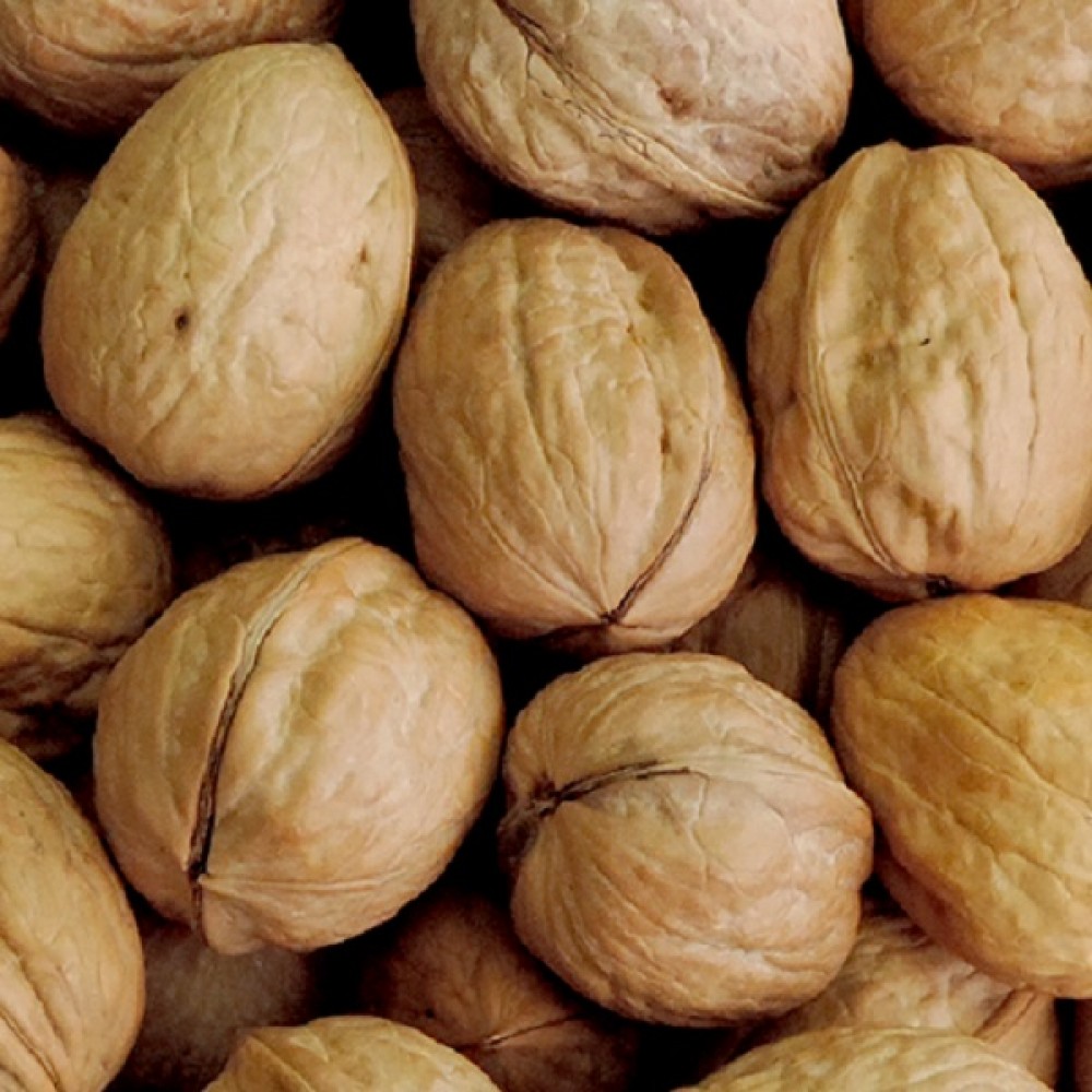 Noz C/Casca Chile +34 Kg