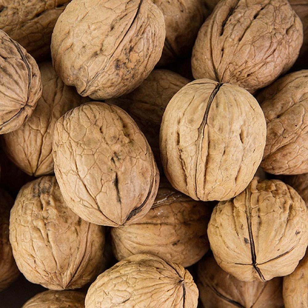 Nozes Inteiras Jumbo 34+1Kg